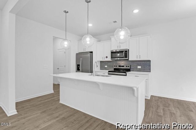 40 Birchstone Trail 225p, Erwin, NC 28334