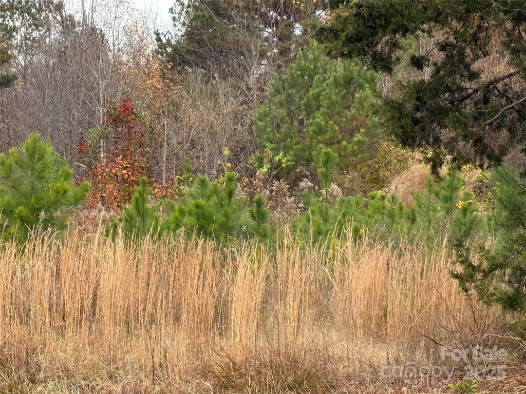 13315-1 Ramah Church Road, Huntersville, NC 28078