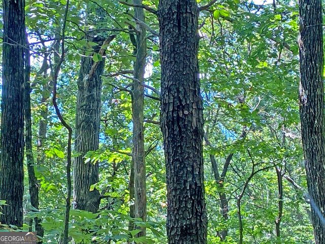 4.8AC Sign Board Gap Road, Dahlonega, GA 30533