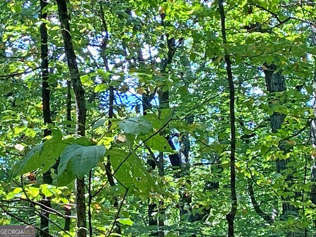 4.8AC Sign Board Gap Road, Dahlonega, GA 30533