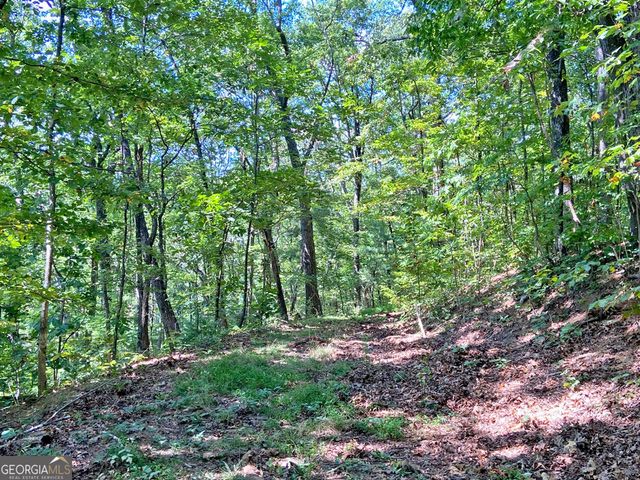 4.8AC Sign Board Gap Road, Dahlonega, GA 30533