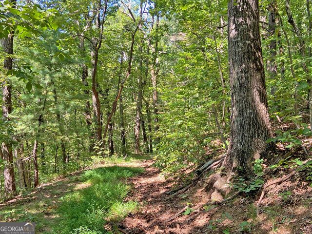 4.8AC Sign Board Gap Road, Dahlonega, GA 30533