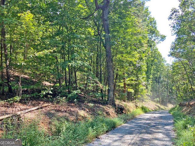 4.8AC Sign Board Gap Road, Dahlonega, GA 30533