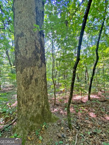 4.8AC Sign Board Gap Road, Dahlonega, GA 30533