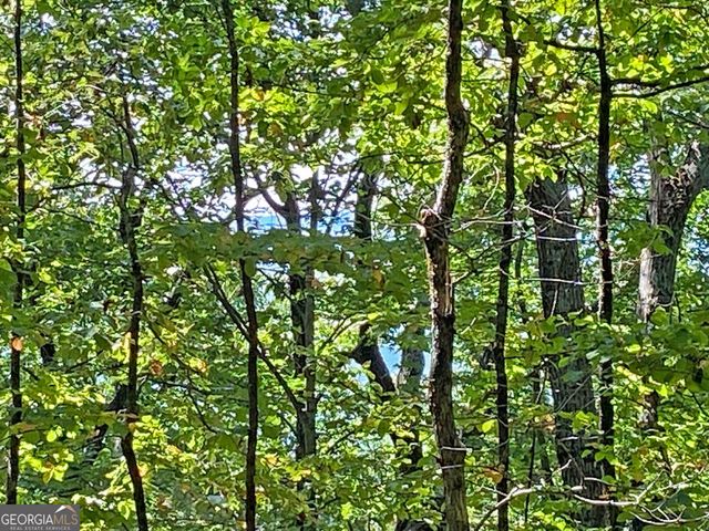 4.8AC Sign Board Gap Road, Dahlonega, GA 30533