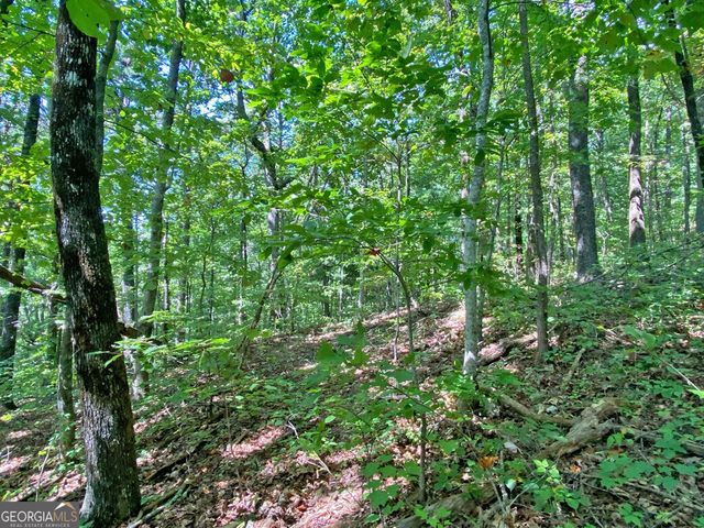4.8AC Sign Board Gap Road, Dahlonega, GA 30533