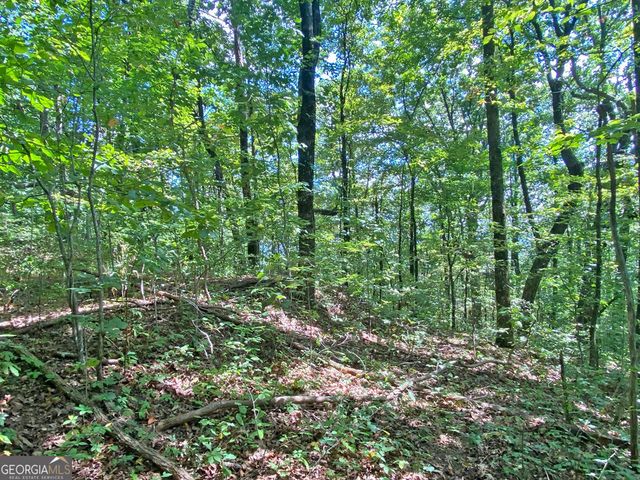 4.8AC Sign Board Gap Road, Dahlonega, GA 30533