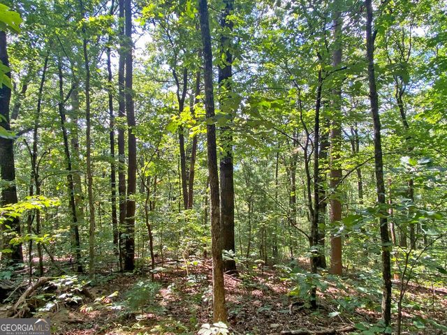4.8AC Sign Board Gap Road, Dahlonega, GA 30533