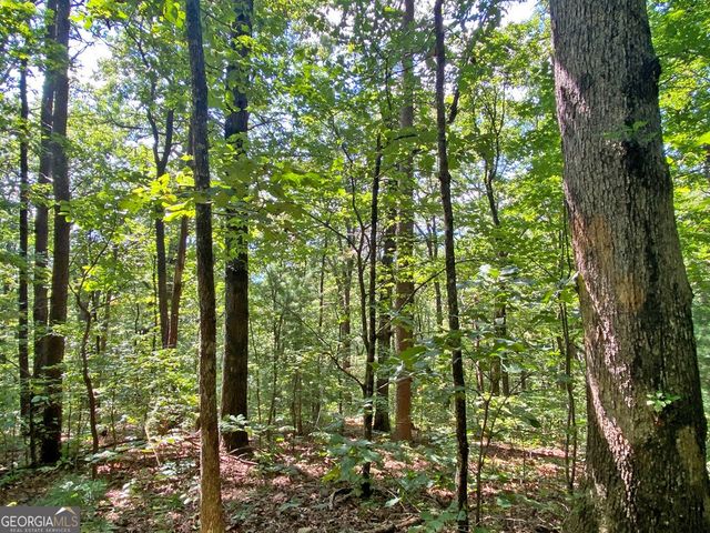 4.8AC Sign Board Gap Road, Dahlonega, GA 30533