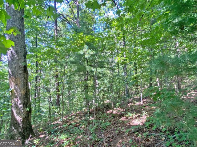 4.8AC Sign Board Gap Road, Dahlonega, GA 30533