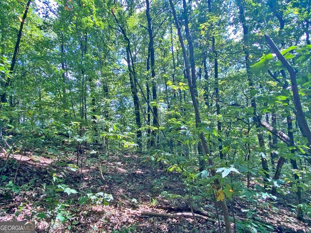 4.8AC Sign Board Gap Road, Dahlonega, GA 30533