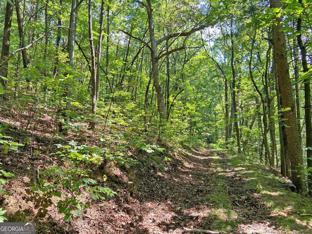 4.8AC Sign Board Gap Road, Dahlonega, GA 30533