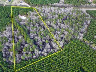 2388 Fm 943, Livingston, TX 77351