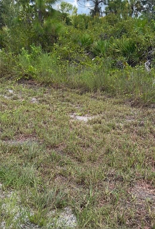 551 Barranger AVE S, LEHIGH ACRES, FL 33974 — photo 2