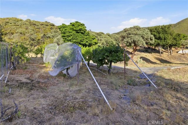 38735 San Francisquito Canyon Road, Green Valley, CA 91390