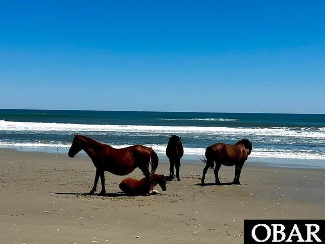 1278 Lakeside Drive Lot 16, Corolla, NC 27927