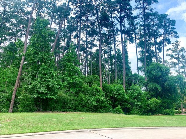 67 N Glenwild Circle, Spring, TX 77389