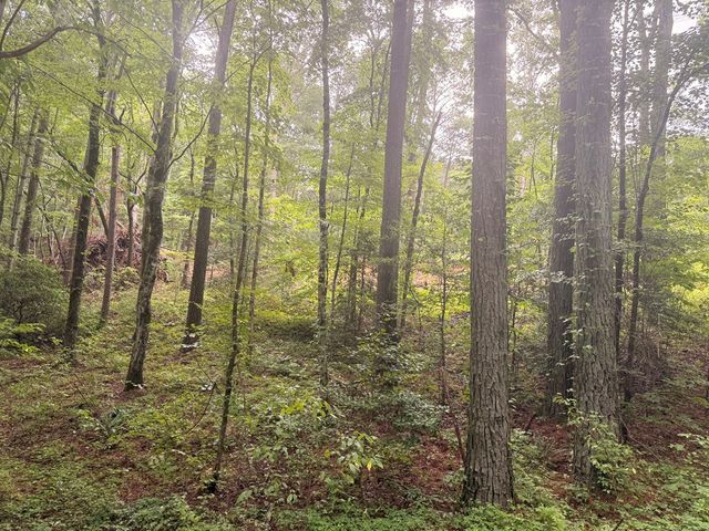 1765 Nugget Lane, Ellijay, GA 30540