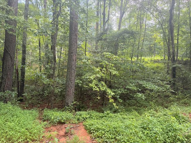 1765 Nugget Lane, Ellijay, GA 30540