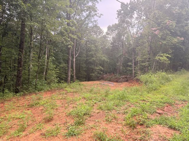 1765 Nugget Lane, Ellijay, GA 30540