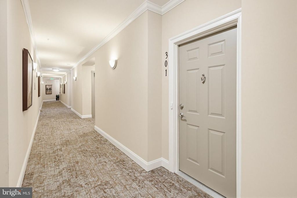 Image 16 of property listing at 8901 BRAUERTON RD #301, Ellicott City, MD 21043