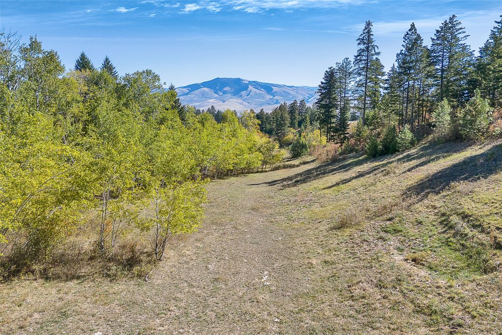 000 McClain Creek Meadows, Florence, MT 59833 photo 11