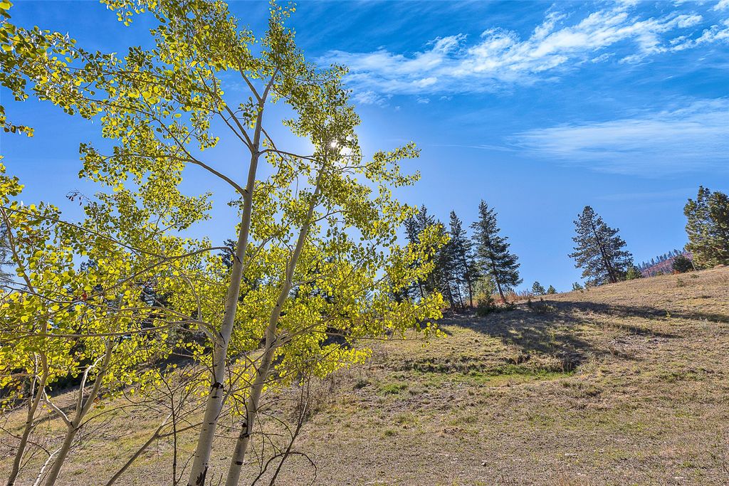 000 McClain Creek Meadows, Florence, MT 59833 photo 16