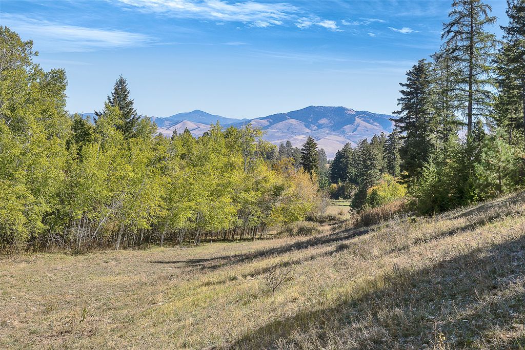 000 McClain Creek Meadows, Florence, MT 59833 photo 17