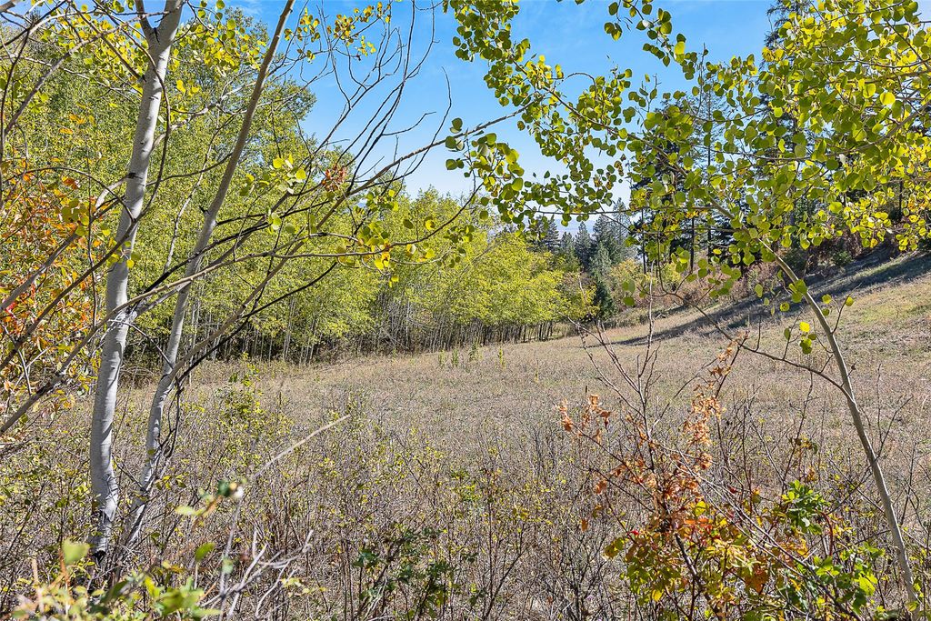 000 McClain Creek Meadows, Florence, MT 59833 photo 2