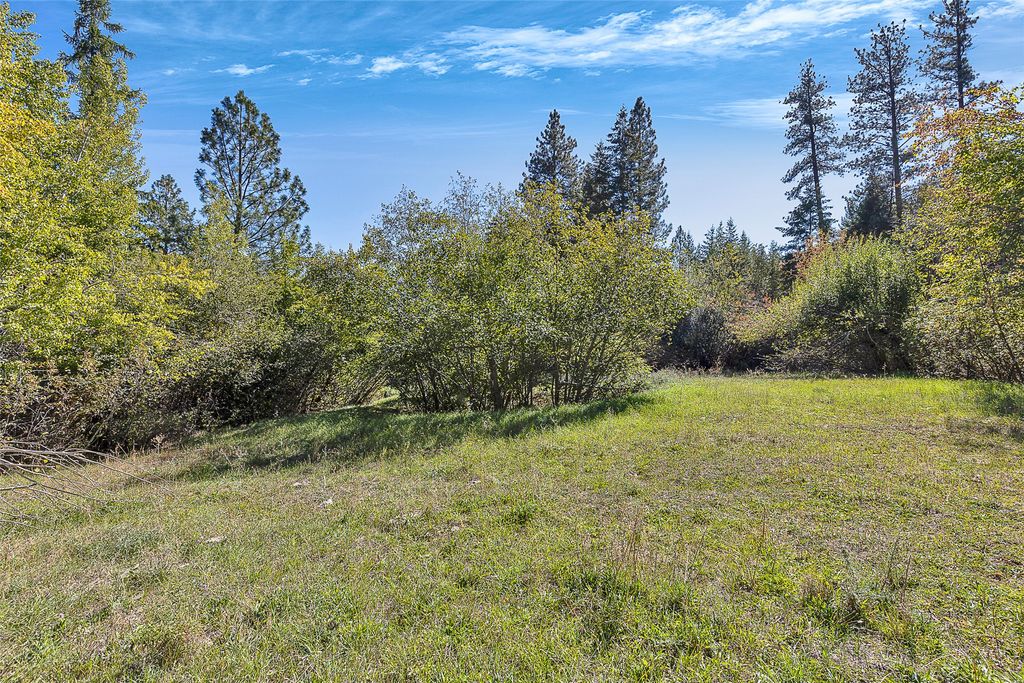 000 McClain Creek Meadows, Florence, MT 59833 photo 4