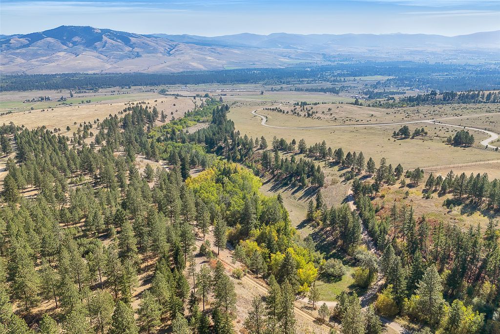 000 McClain Creek Meadows, Florence, MT 59833 photo 6