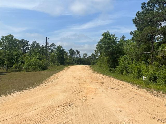 TBD Rome Avenue, Alford, FL 32420