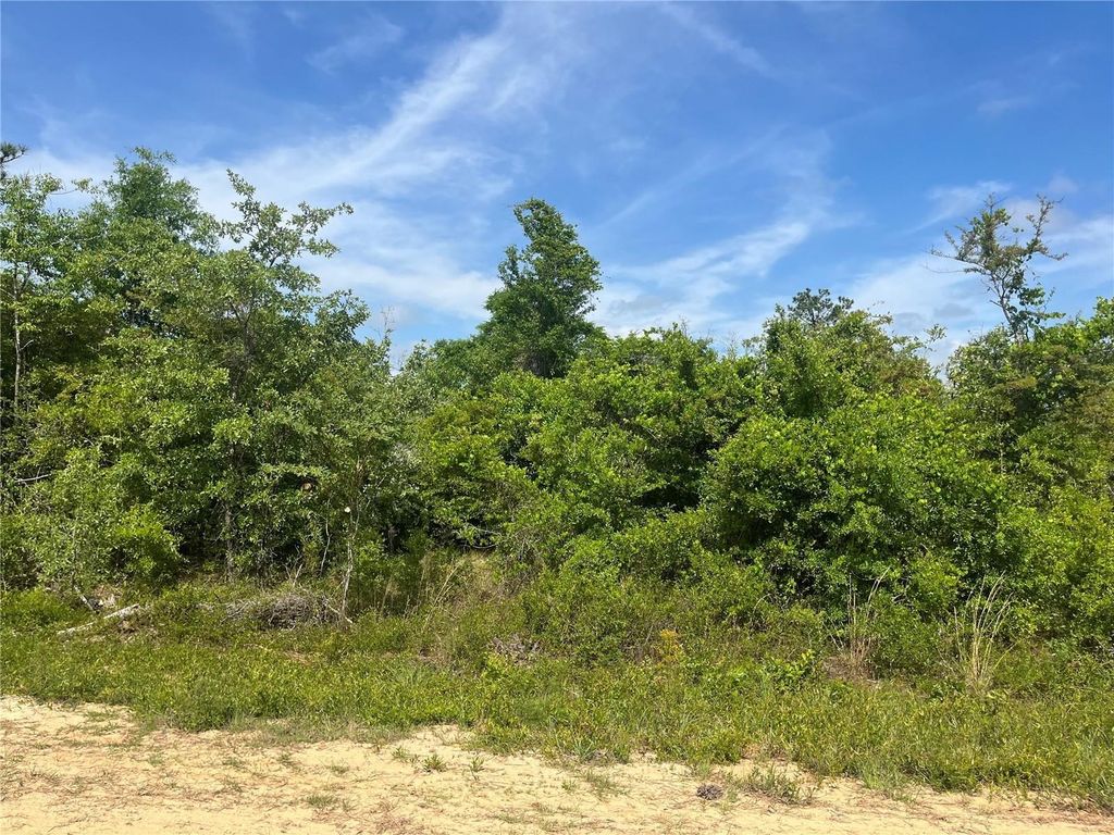 TBD Rome Avenue, Alford, FL 32420