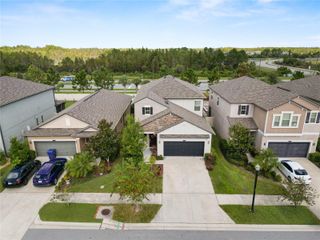 9039 PLEASANT WOODS DRIVE, Land O Lakes, FL 34637