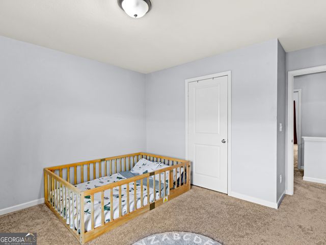 10891 Wheeler Trace, Hampton, GA 30228