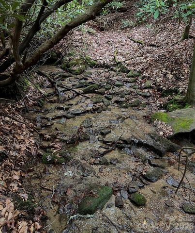 TBD Still Branch Road L20, Brevard, NC 28712