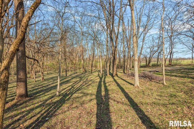 385 HIGH MEADOW, Sherman, IL 62684