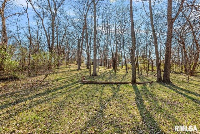 385 HIGH MEADOW, Sherman, IL 62684