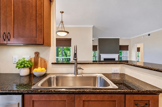 6000 Shepherd Mountain CV 1601, Austin, TX 78730