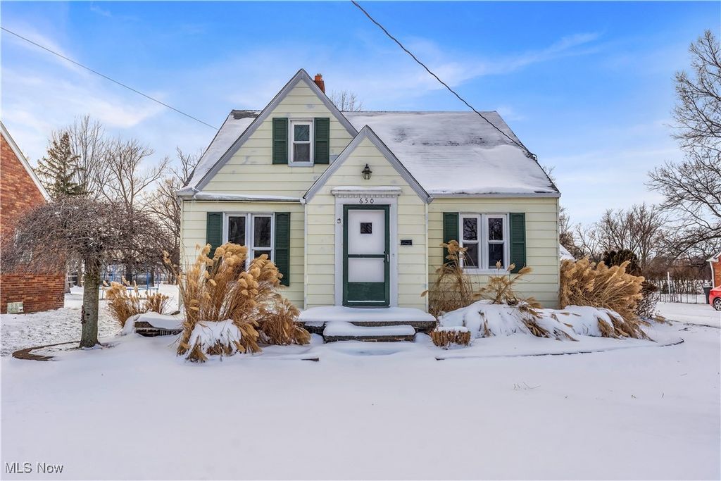 650 E 250th Street, Euclid, OH 44132