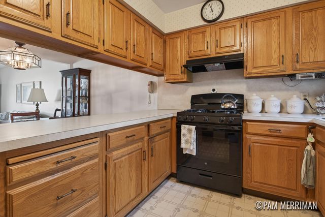 6733 Leisure Way Drive SE 32, Caledonia, MI 49316