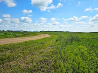 330XX Co Hwy 77 [H], Wadena, MN 56482