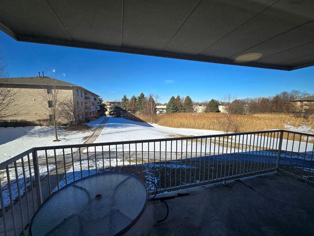 1041 Ashley Court 2D, Lockport, IL 60441