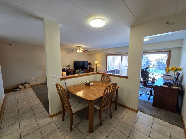 1041 Ashley Court 2D, Lockport, IL 60441