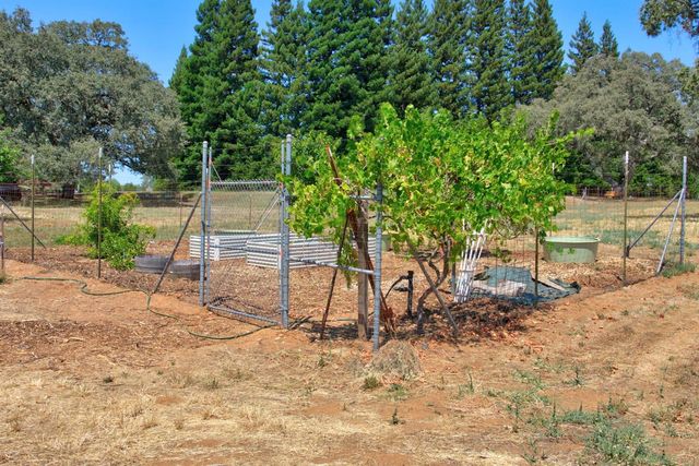 5343 Milton Ranch, Shingle Springs, CA 95682
