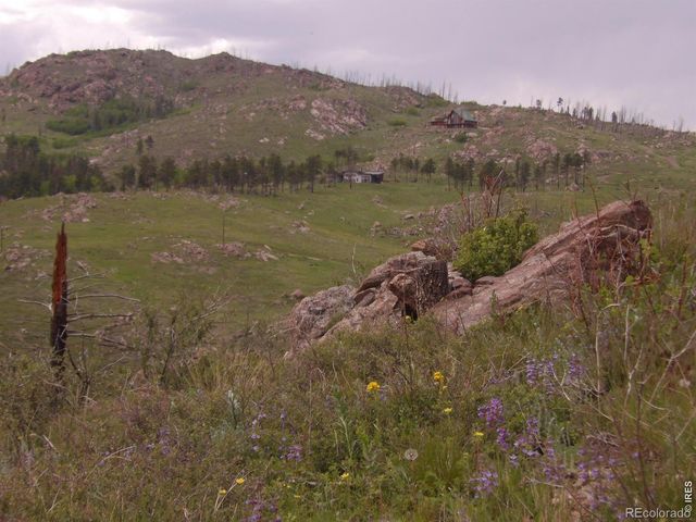 3434 Davis Ranch Road, Bellvue, CO 80512