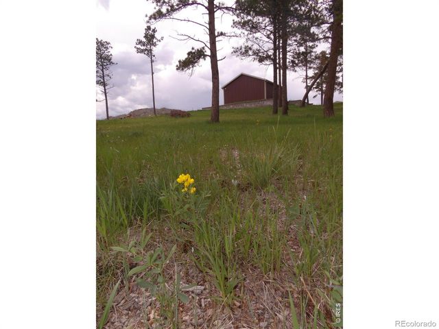 3434 Davis Ranch Road, Bellvue, CO 80512