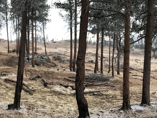 3434 Davis Ranch Road, Bellvue, CO 80512