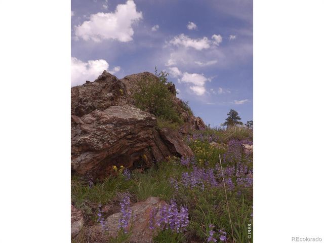 3434 Davis Ranch Road, Bellvue, CO 80512