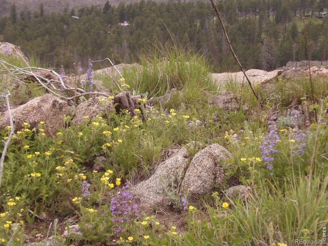 3434 Davis Ranch Road, Bellvue, CO 80512